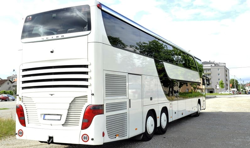 Antwerp: Bus charter in Hoogstraten in Hoogstraten and Flanders