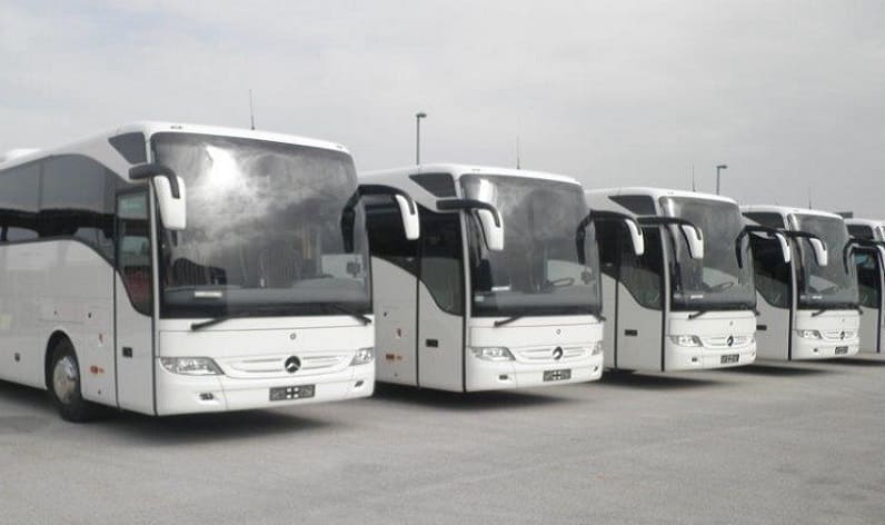 Belgium: Bus company in Wallonia in Wallonia and Belgium
