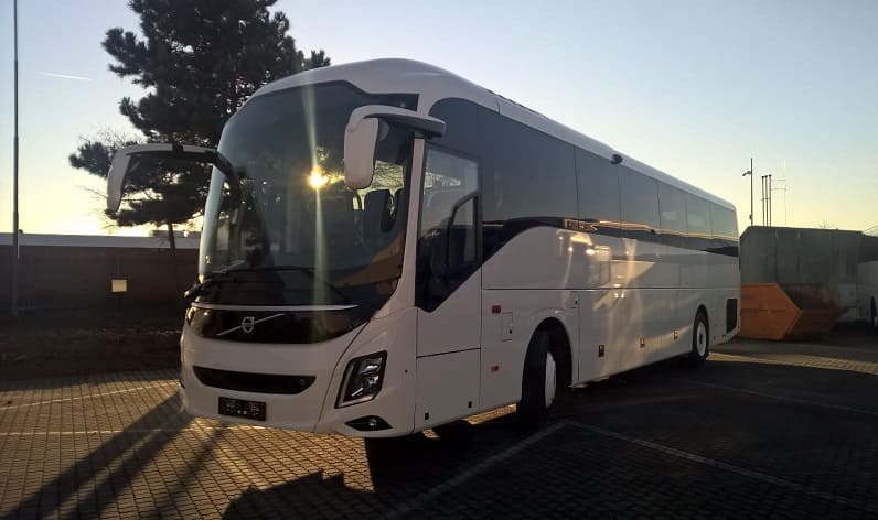 Flemish Brabant: Bus hire in Scherpenheuvel-Zichem in Scherpenheuvel-Zichem and Flanders