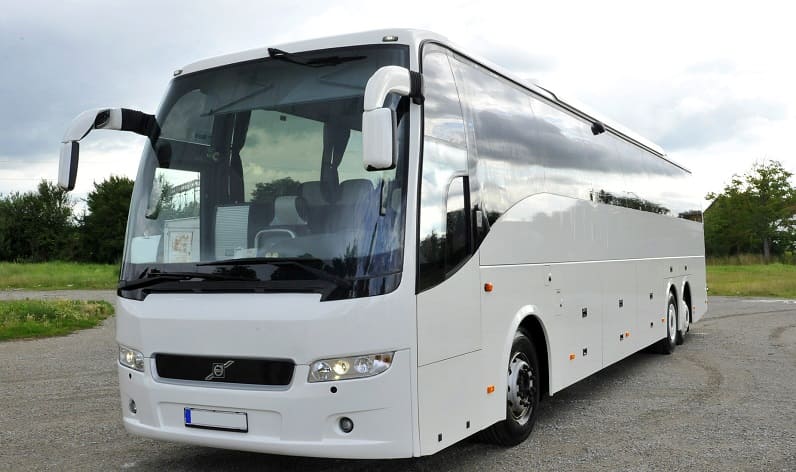 Netherlands: Buses agency in North Brabant in North Brabant and Breda