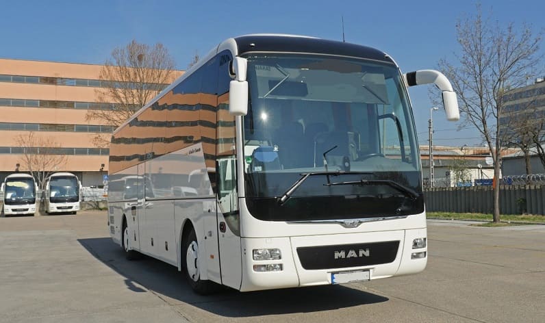 Antwerp: Buses operator in Brecht in Brecht and Flanders